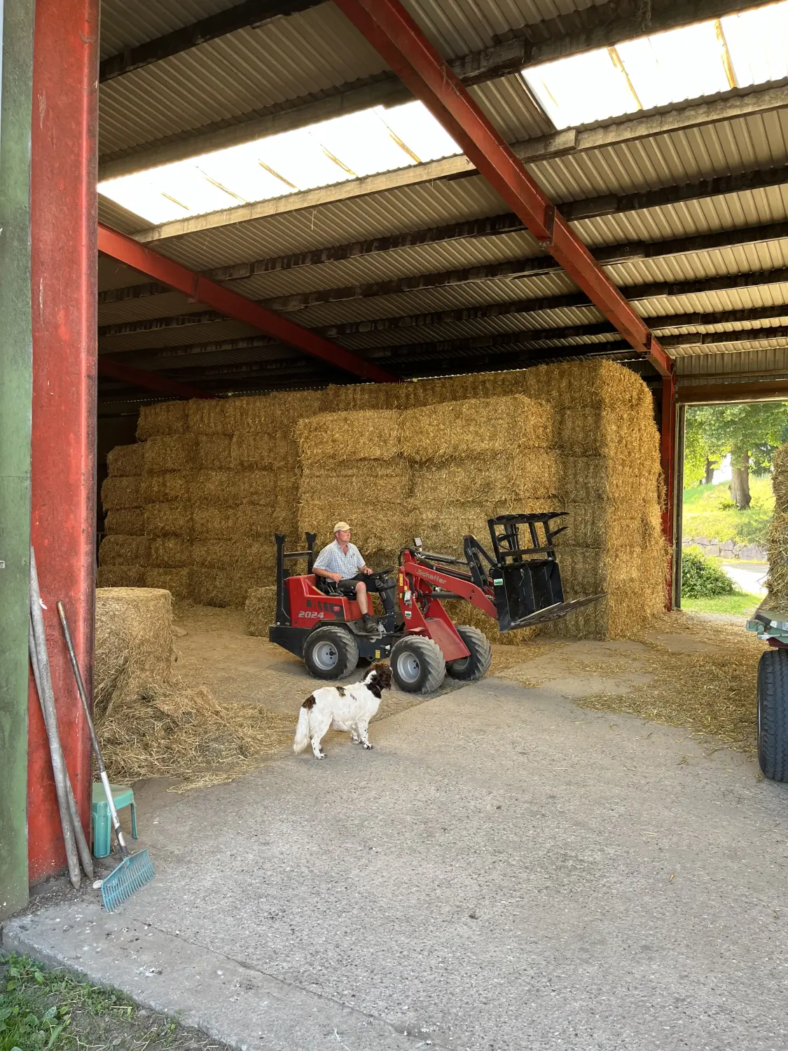 Ein Mann auf einem Traktor mit einem Hund von Ferienhof Theede